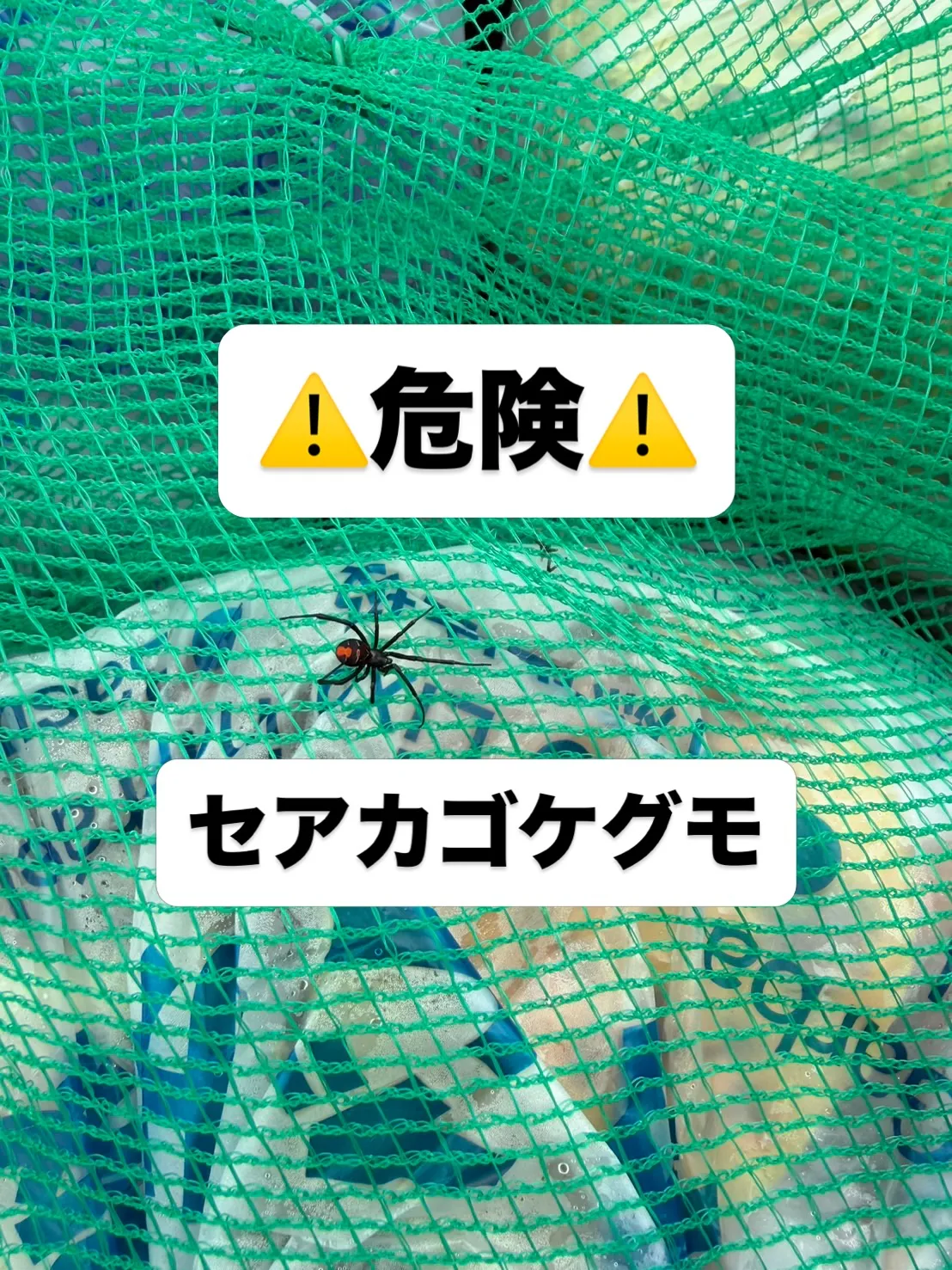 こんにちは!担々麺処三月(みつき)です!